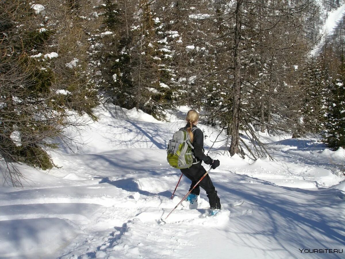 Лыжники были в походе 7 дней. Лыжник в лесу. Люди на лыжах в лесу. Лыжник в зимнем лесу. Зимние лыжи.