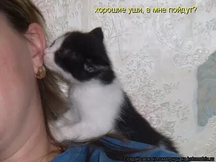 Слышишь в дали