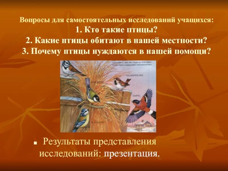 Почему для птиц важна защита и помощь. Птицы нуждаются в нашей помощи. птицы нуждаются в защите и помощи человека. почему птицы нуждаются в нашей помощи. почему птицы нуждаются в защите и помощи человека.