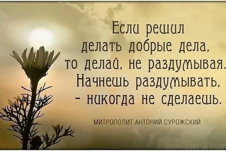 Дисциплина это решение делать. Прям чувствую не зря родился. Решился делай. Если я решу сделать кого-то счастливым. Дисциплина цитаты.