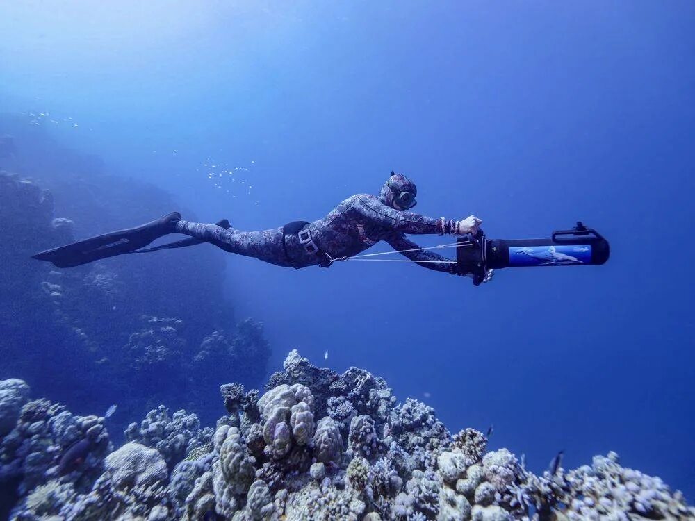 Scuba diving. Дайвер. Master scuba diver padi. New dive. Подводное плавание с аквалангом.