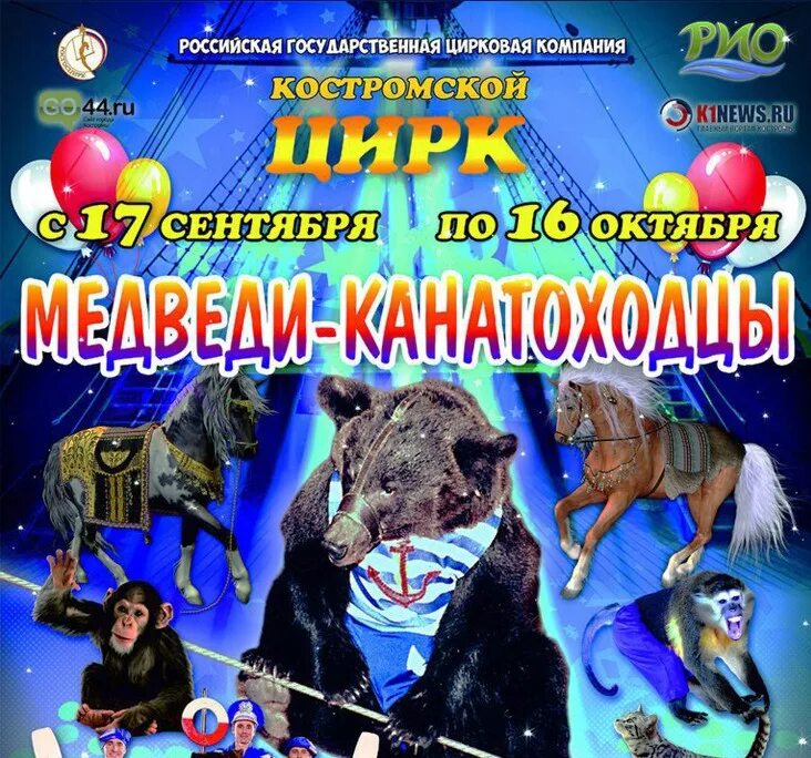 Цирк программа на апрель. Цирковая программа с медведями. цирк программа кострома. костромской цирк афиша. шоу афиша цирке медведи.