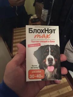 Блох нет