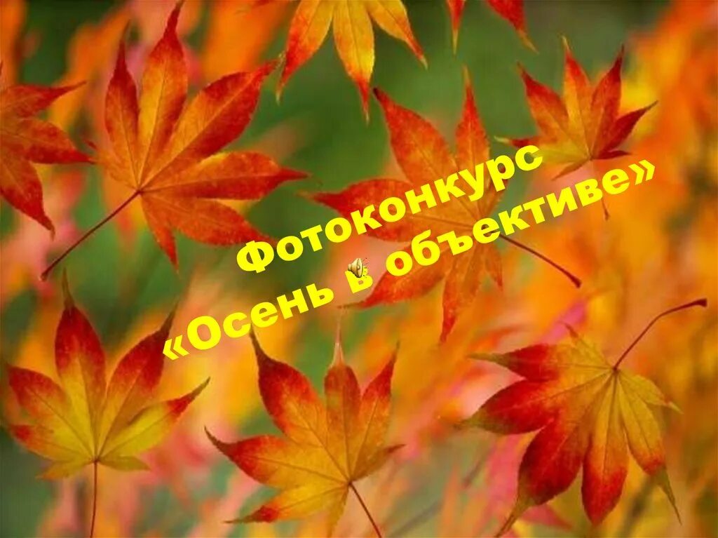 Осень наступила высохли цветы. Осень наступила высохли цветы и глядят уныло желтые кусты. Песня осень наступила и вянут