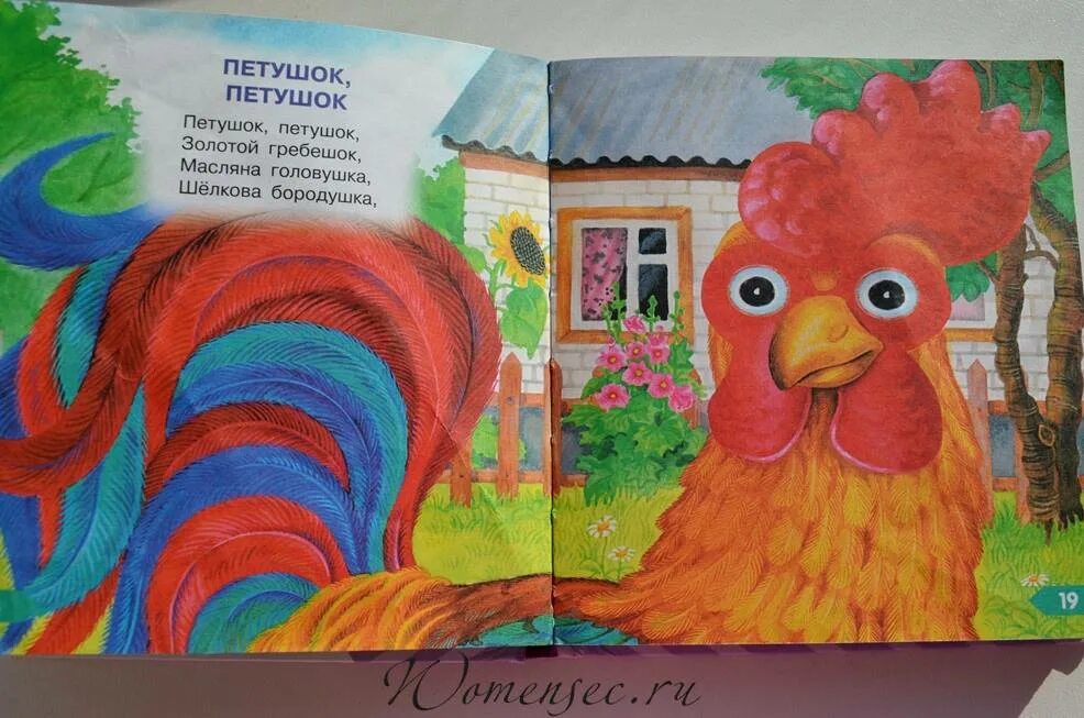 Шелкова бородушка. Шелкова бородушка. Петушок петушок масляна головушка. Шелкова бородушка. Потешка про петушка для детей.