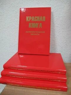 Red книга