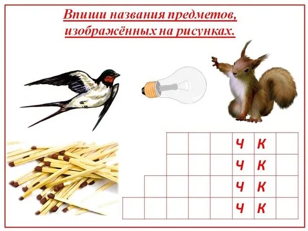 Фотография en 2024