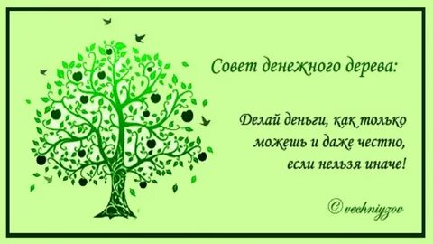 День денежного дерева
