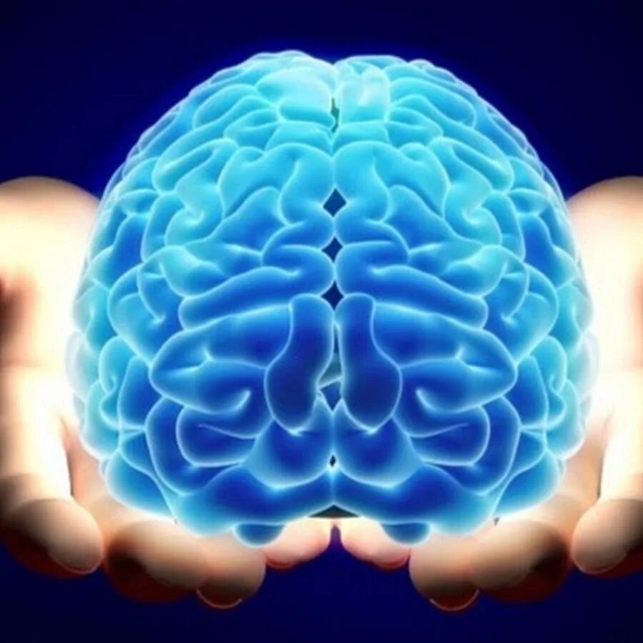 Brain is the most beautiful