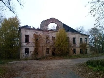 Ломоносов лопухинка