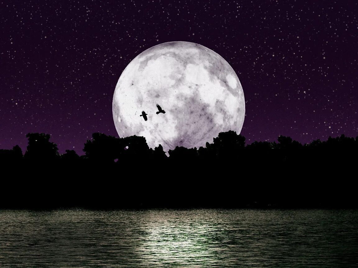 Moon correct moon. Огромная Луна. Красивая Луна. Лунная ночь. Яркая Луна.