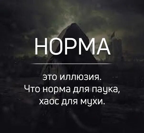 Нормальные цитаты. Норма это иллюзия что норма для паука хаос для мухи. Это нормально цитаты. Это норма жизни цитаты.