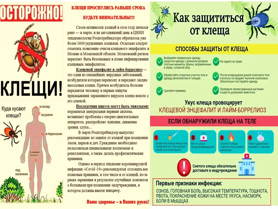 Профилактика клещевых инфекций тест. Памятка укусы клещей. Осторожно клещи. Памятка от укуса клеща. Осторожно клещи плакат.