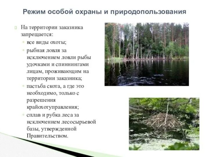 Заказники режим охраны. Заказники режим охраны