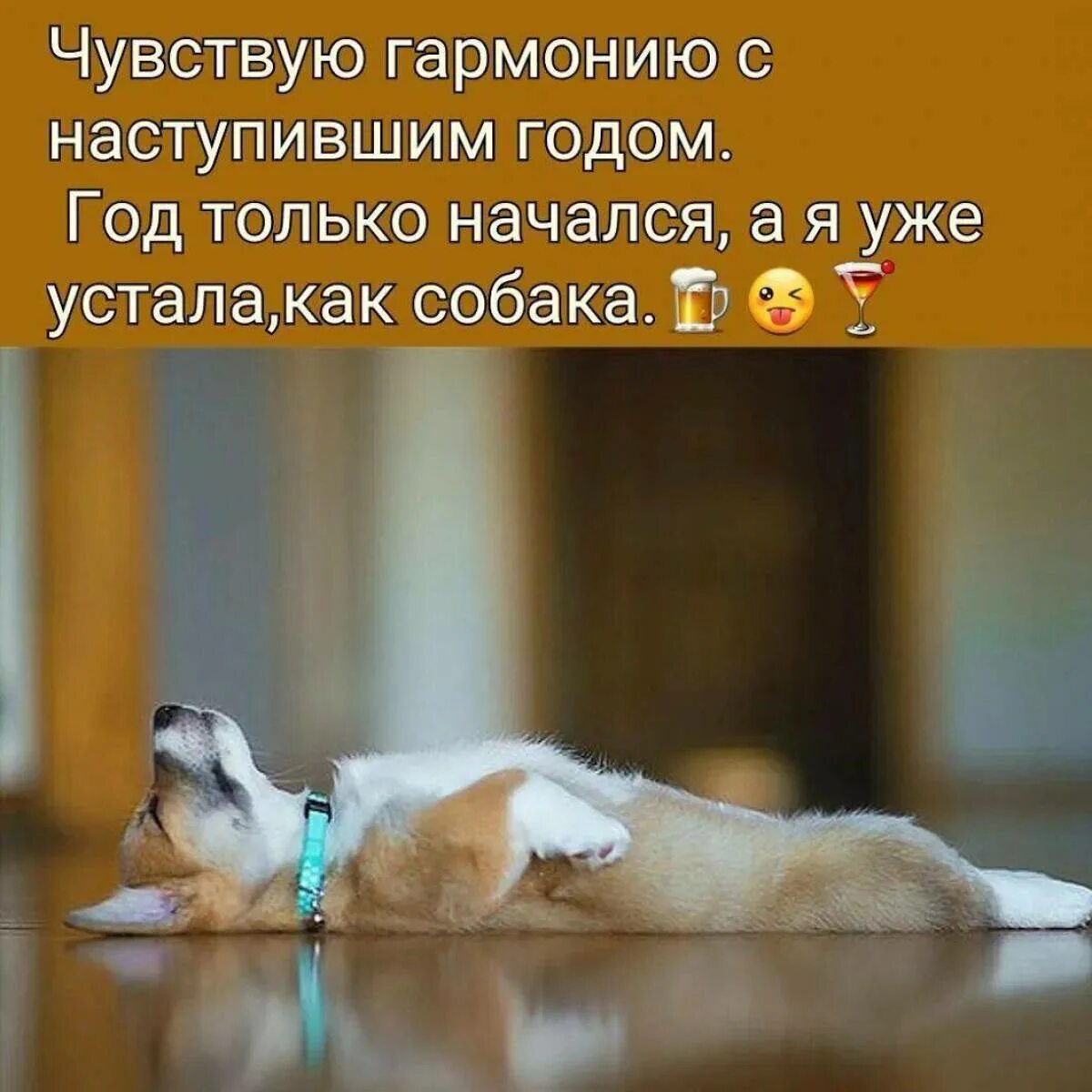 Устал быть добрым. Весёлые картинки для поднятия настроения. позитивные фразы для поднятия настроения. позитивные картинки для поднятия настроения. высказывания про усталость смешные.
