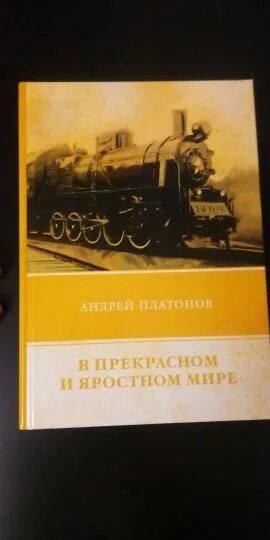 Как заканчивается рассказ в прекрасном и яростном. Платонов в прекрасном и яростном мире. Платонов в прекрасном и яростном мире иллюстрации. Платонов в прекрасном и яростном мире читать.