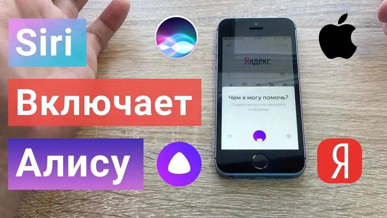 Помощник Яндекс Алиса на айфоне