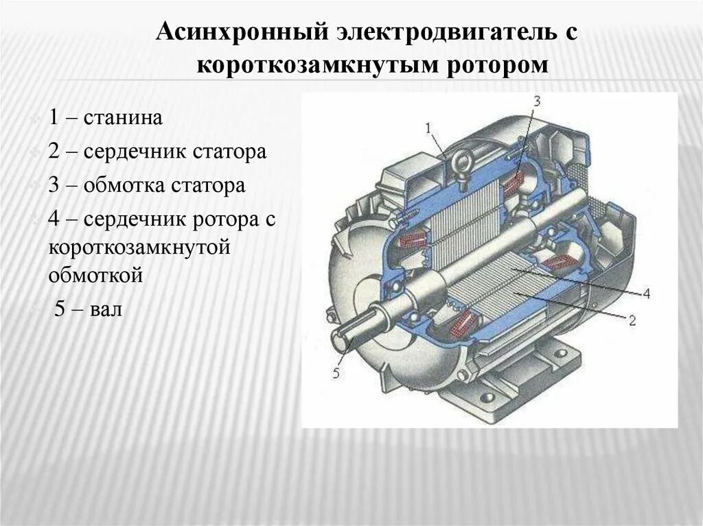 Устройство сердечником. Ротор двигателя постоянного тока схема. Чертеж магнитопровода статора асинхронного двигателя. Обмотки статора и ротора чертеж. Принцип действия асинхронного электродвигателя рисунок.