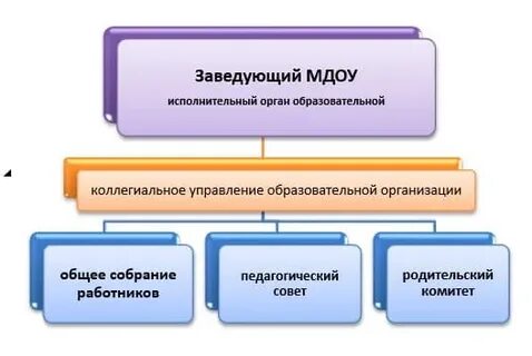 Виды муниципальных дошкольных образовательных учреждений