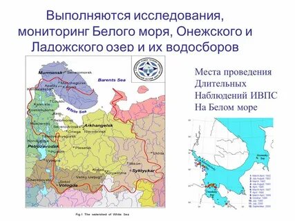 Исследования белого моря