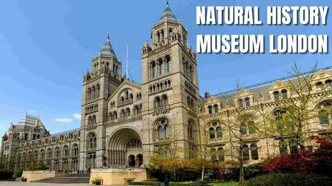 National history museum
