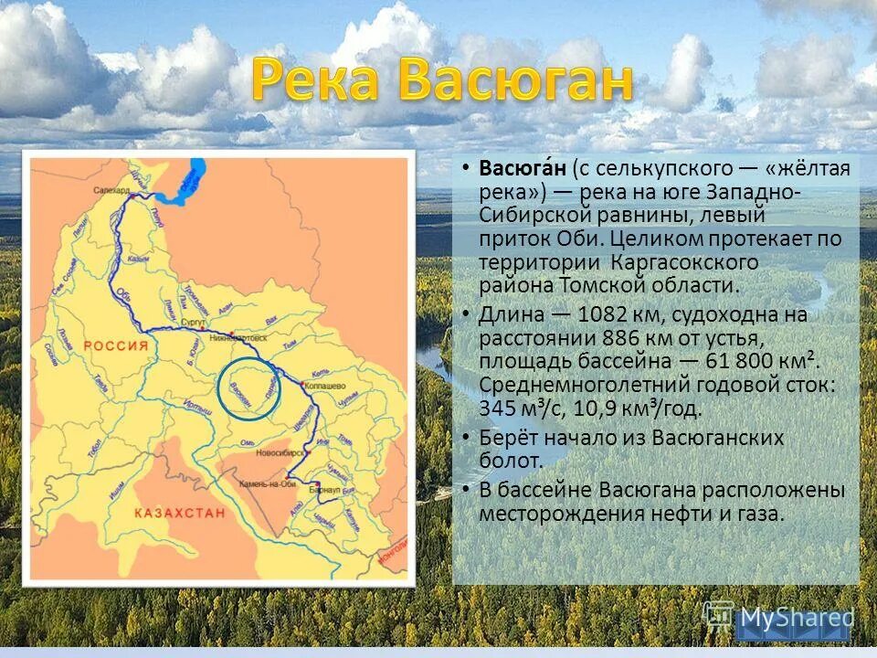 Западная Сибирь река Васюган. Северная часть Западно сибирской равнины. Растительный и животный мир западно сибирской равнины