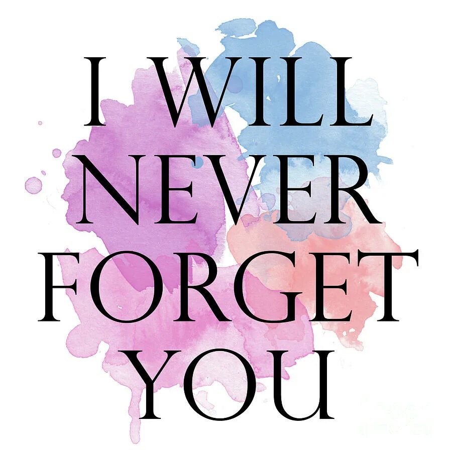 Never forget you. I never forget you. I will never forget you. You forget.