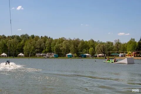 Садовый центр поселок ульяновского лесопарка