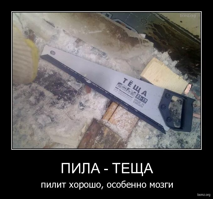 матроскин юмор. пилишь ну пили пили. пилишь ну пили пили. матроскин приколы. демотиваторы простоквашино.