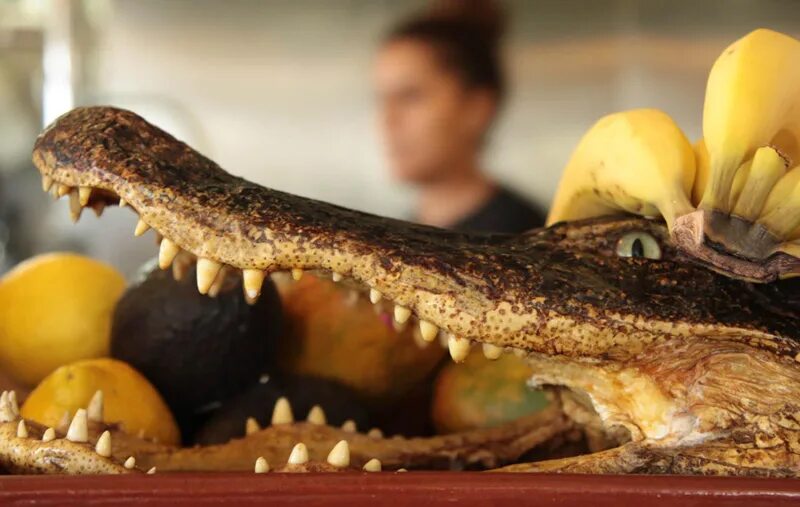 Крокодил еда. Крокодил еда. Редкие экзотические блюда. Жареный крокодил во вьетнаме. Крокодил еда.