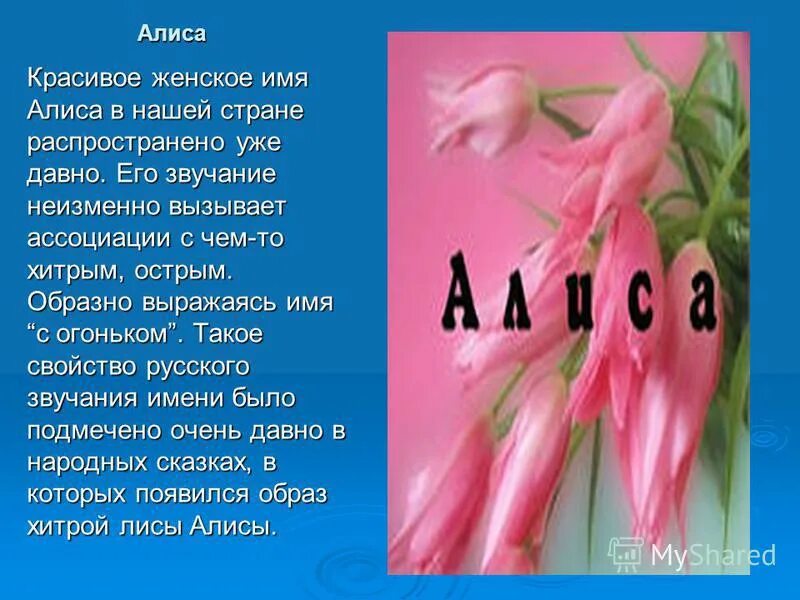 Алиса имя. Тайна имени Алиса. Алиса кратко имя. Доклад про имя Алиса. Значение слова симпатичен