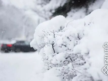 Снег вернись