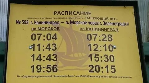 Расписание автобуса 435 кутузово на завтра