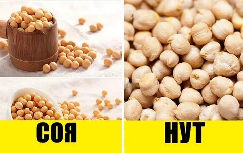 Нут белки