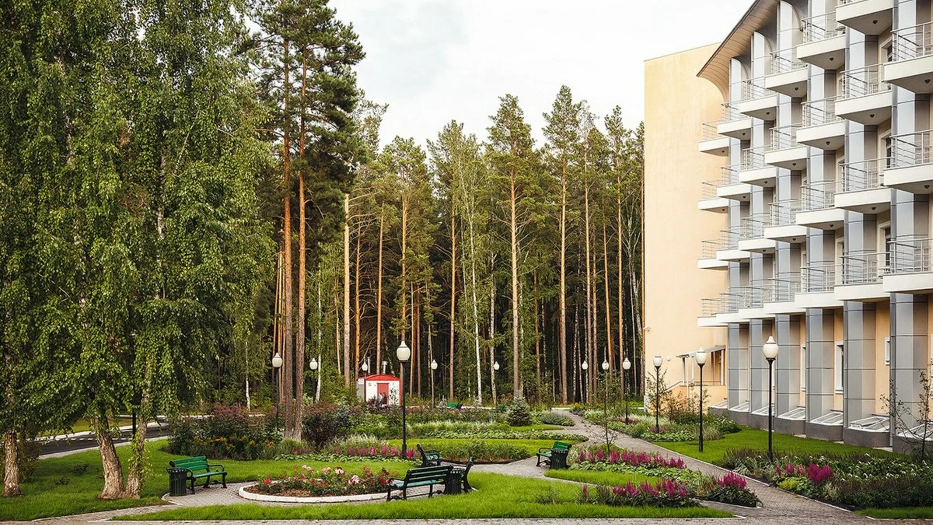 Баня привилегия. Пансионат бор домодедово. Гродно альфа родон. М. Привилегия санаторий.