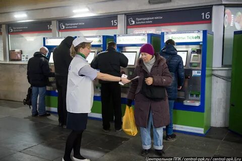 Пригородные кассы номер телефона