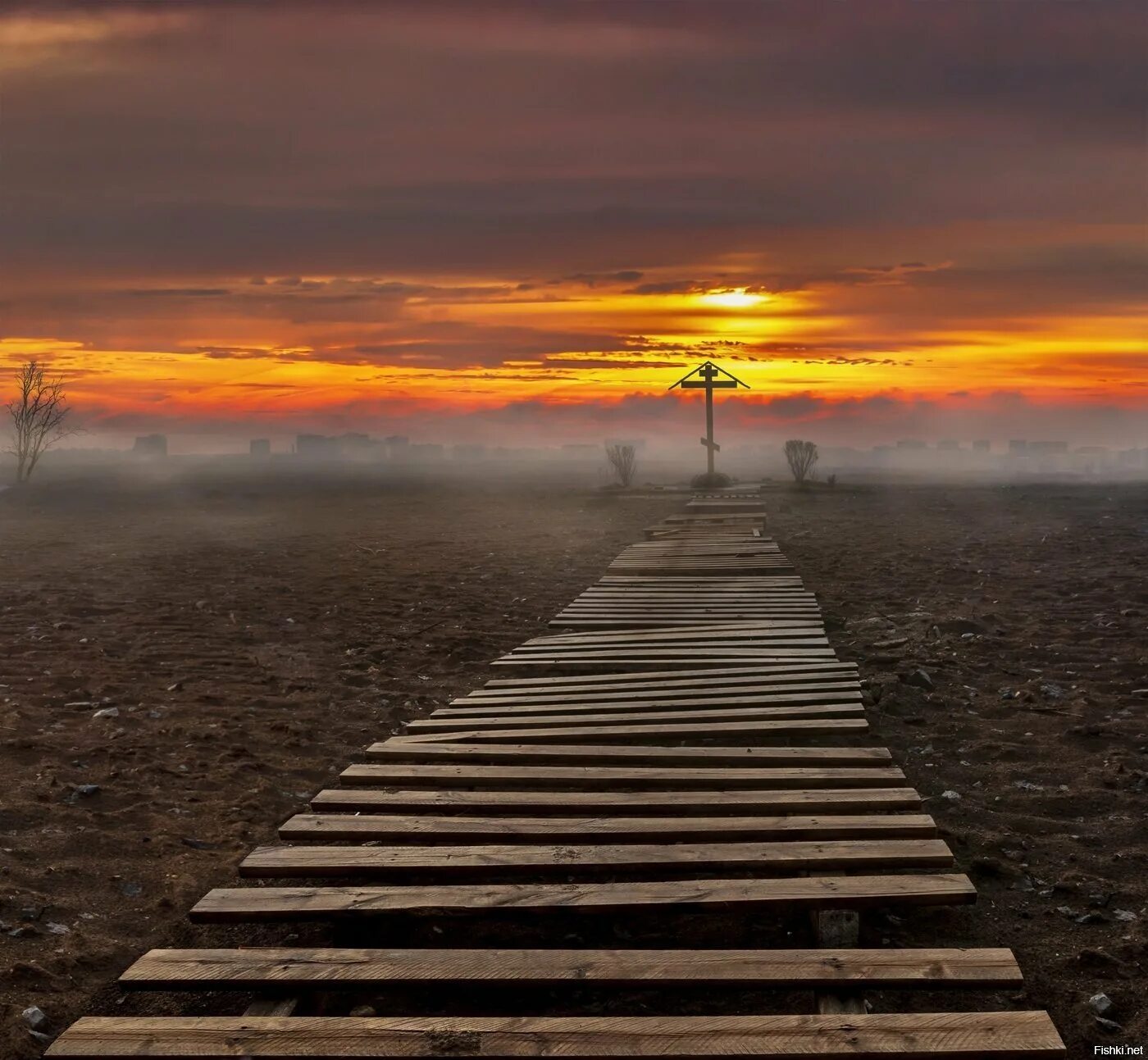 В пути. Светлая дорога. Разные дороги жизни.