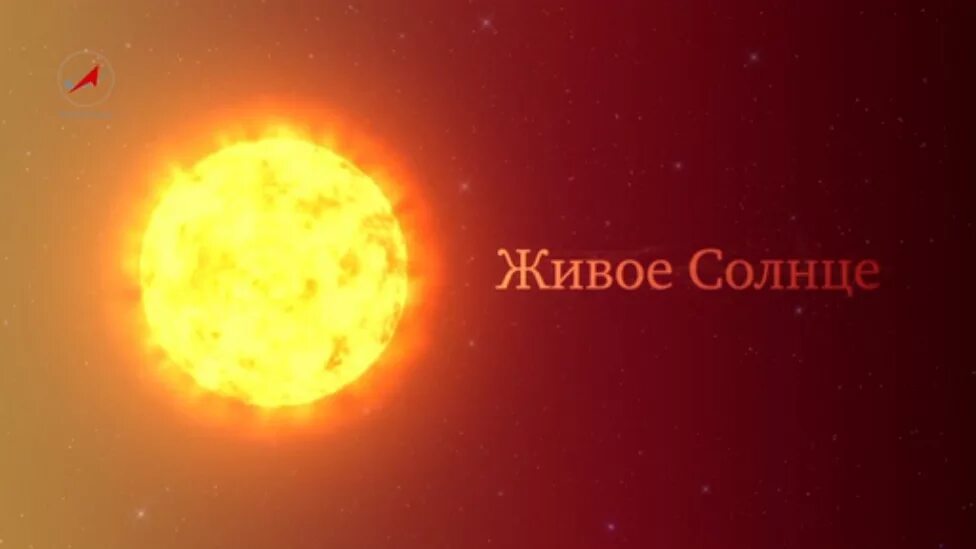 Там живет солнце. Живое солнце. Живое солнышко. Солнце через телескоп. Солнце вживую.