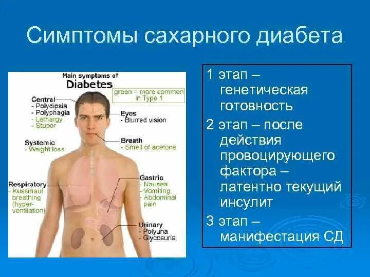 Сахарный диабет причины и симптомы. Диабет у мужчин лечение. Диабет у мужчин лечение. Симптомы сахарного диабета у женщин. Ранние признаки сахарного диабета.