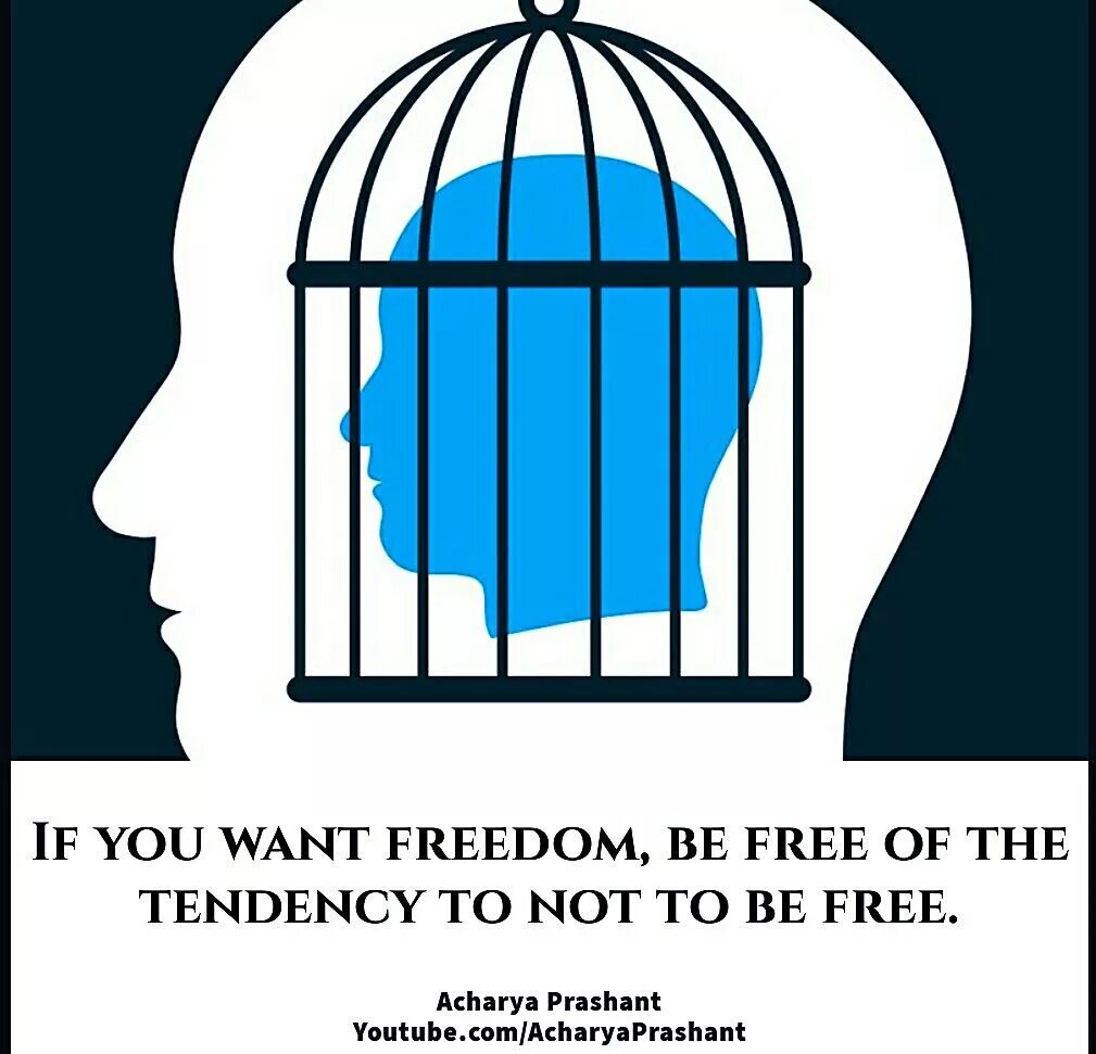You want freedom. Песня what you want. Do what you like цитаты. Разные мемы. Freedom quotes.