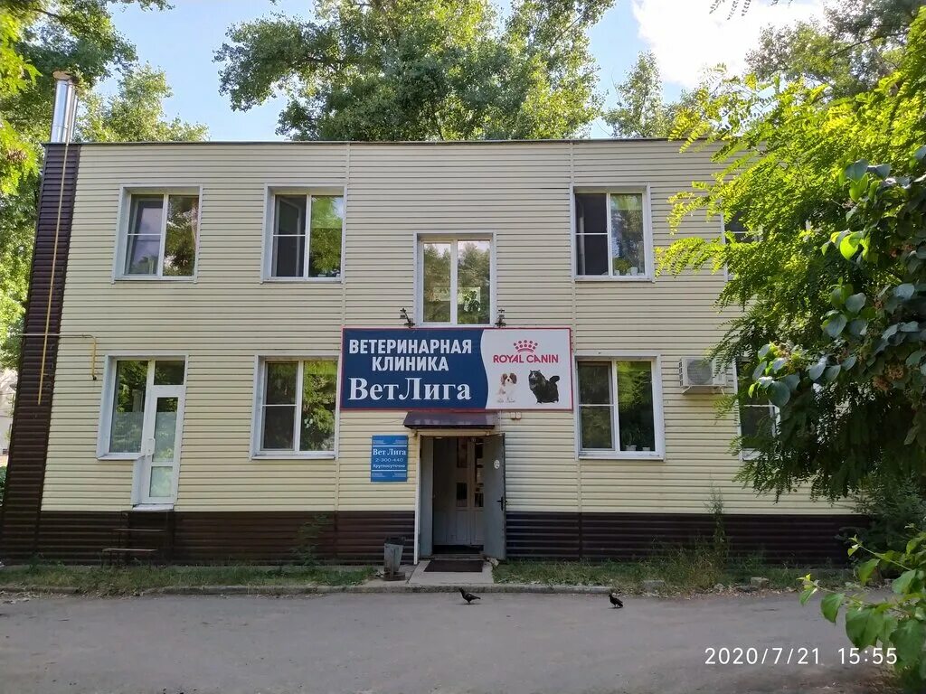 Ветлечебницы луге
