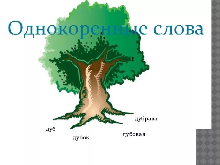 Дуб родственные слова. Дубки однокоренные слова. Какие слова. Дерево с однокоренными словами рисунок. Дубки однокоренные слова.