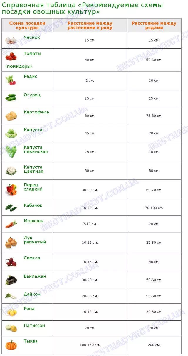 Таблица посадки овощей в открытый. Схема посадки овощных культур расстояние. Схема посадки овощей в открытый грунт. Схема посадки овощей рассадой. Схема посадки цукини в открытый грунт.