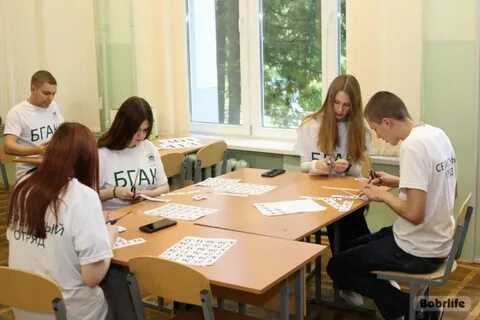 Колледжи бобруйска после 9 класса