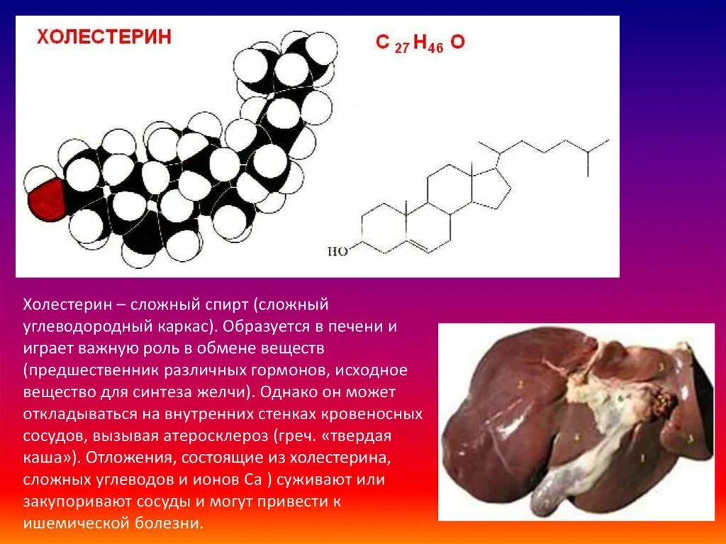 Холестерин. Холестерин это липид. Холестерин предшественник. Холестерол это липид.