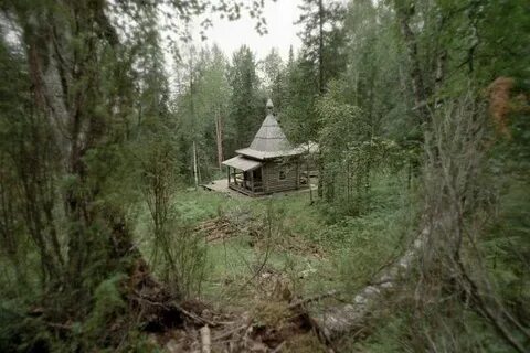 В лесах глухих живут
