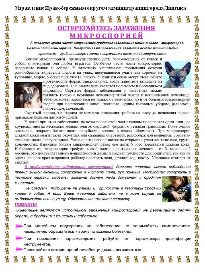 Карантин по микроспории в детском. Консультация по микроспории для родителей в детском саду. памятка по микроспории для родителей. микроспория у детей памятка.