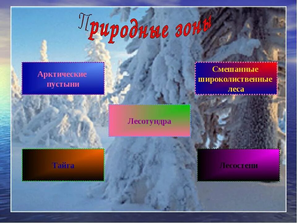 Полезные ископаемые в смешанных лесах. Полезные ископаемые смешанных лесов. Восточная Сибирь презентация 9 класс география. Природные особенности Сибири география 9 класс.