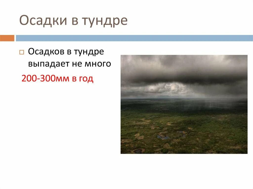 Осадки в тундре. Среднегодовые осадки в тундре. Тундрыколиество осадков. Тундра осадки мм. Температура в тундре и лесотундре