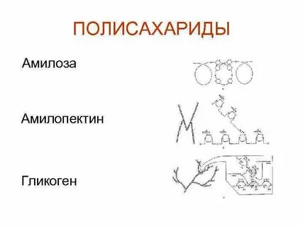 Амилопектин и гликоген применение в медицине